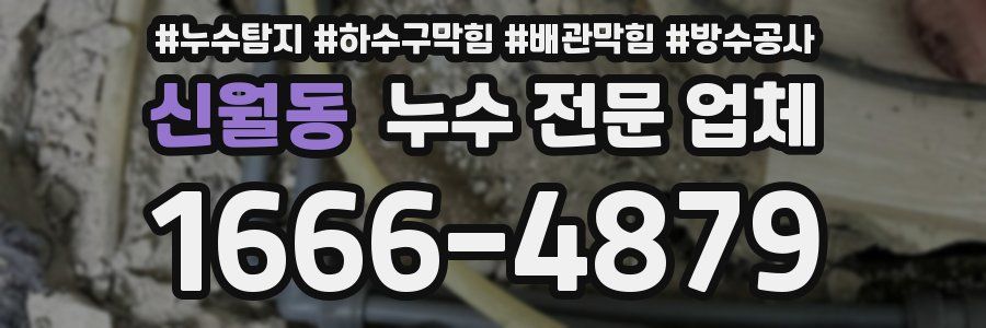 신월동 누수 전문 업체