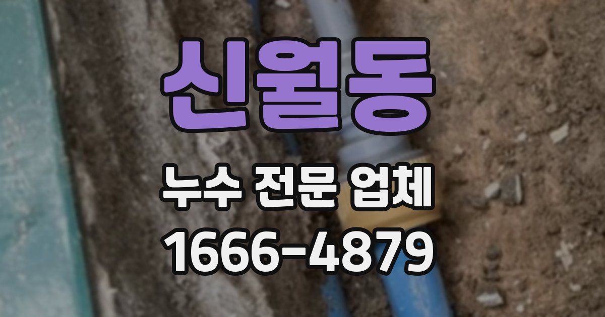 신월동 누수 전문 업체