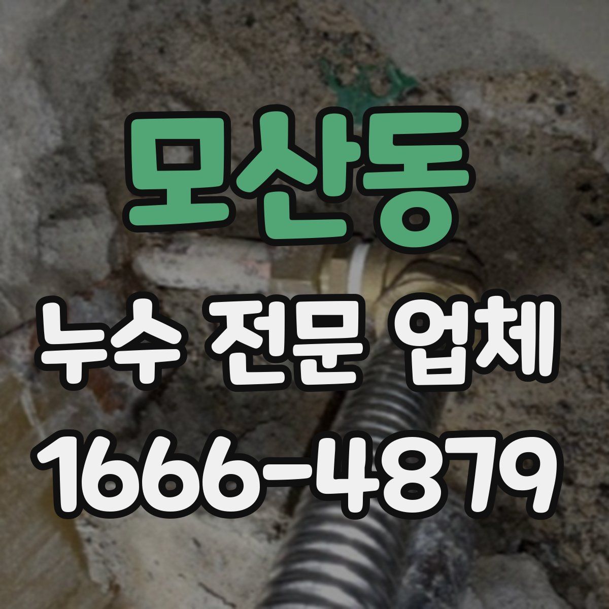 모산동 누수 전문 업체