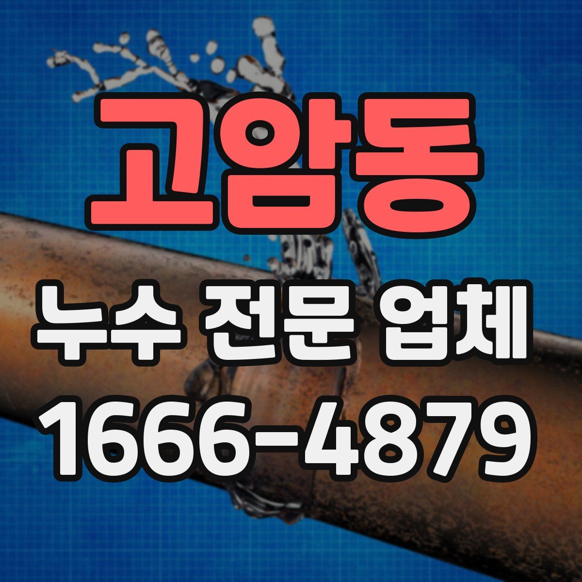 고암동 누수 전문 업체
