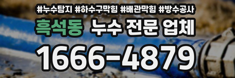 흑석동 누수 전문 업체
