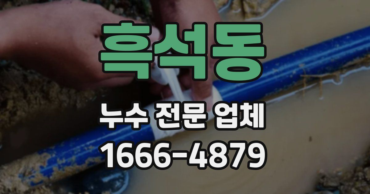 흑석동 누수 전문 업체