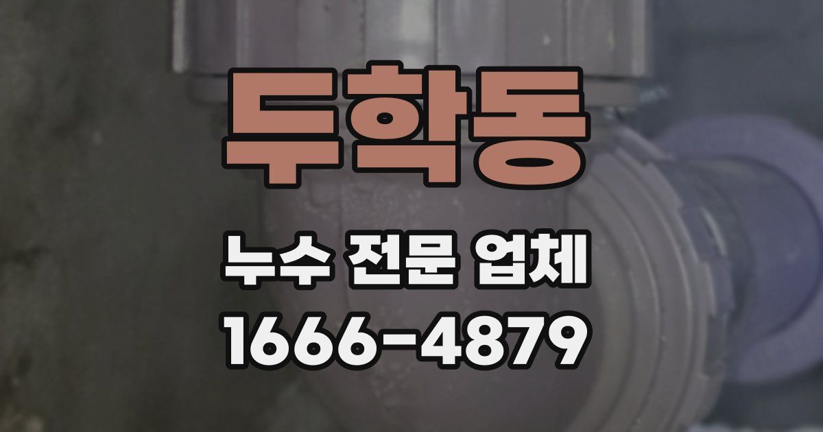 두학동 누수 전문 업체