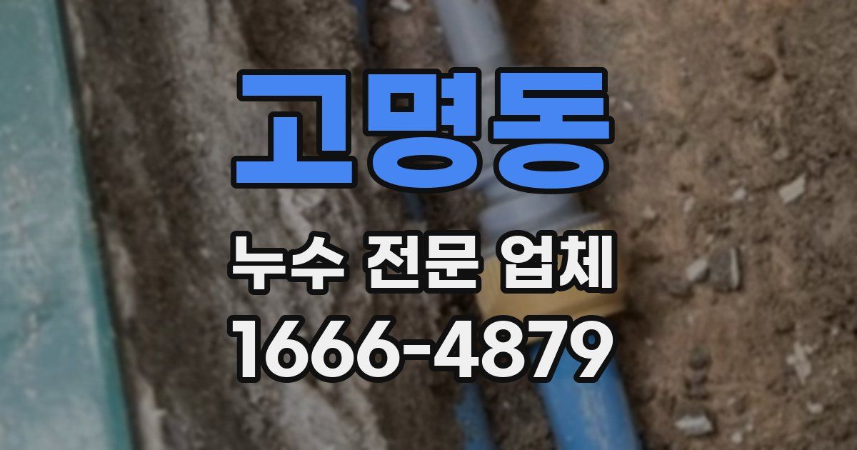 고명동 누수 전문 업체