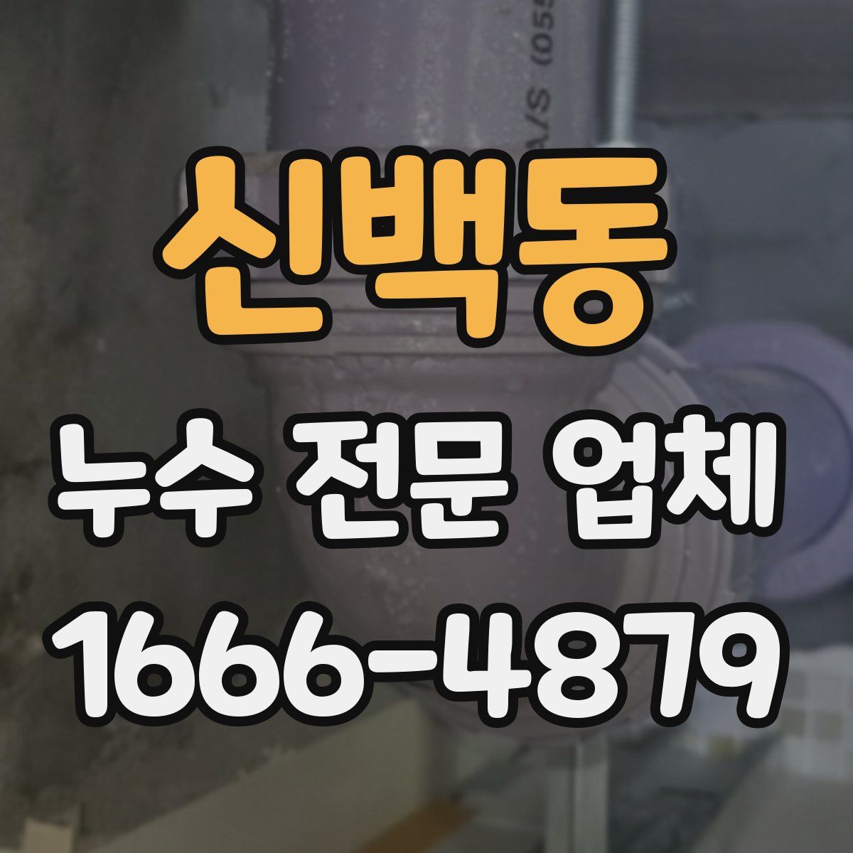 신백동 누수 전문 업체
