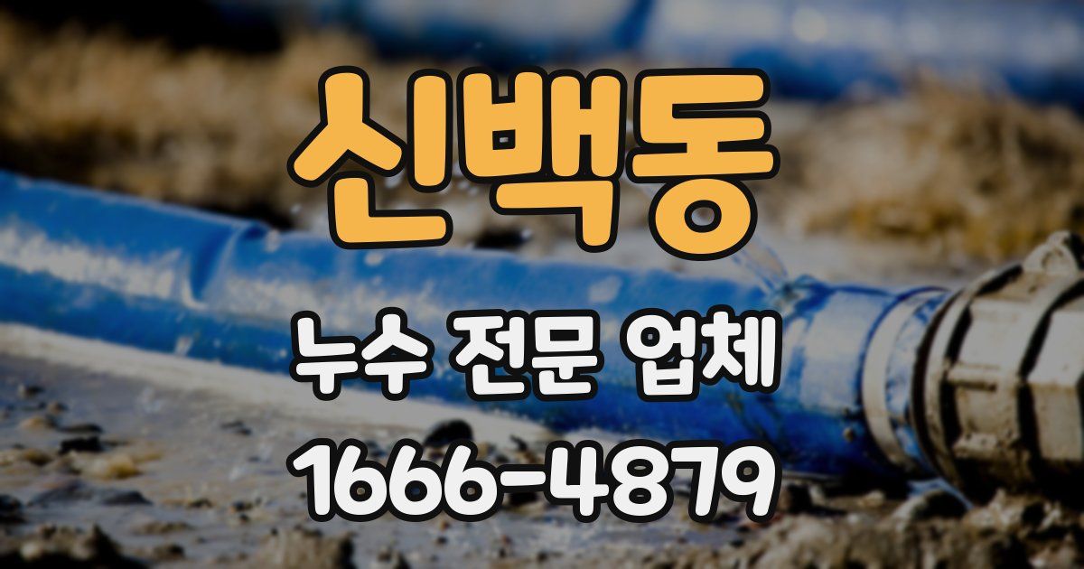 신백동 누수 전문 업체