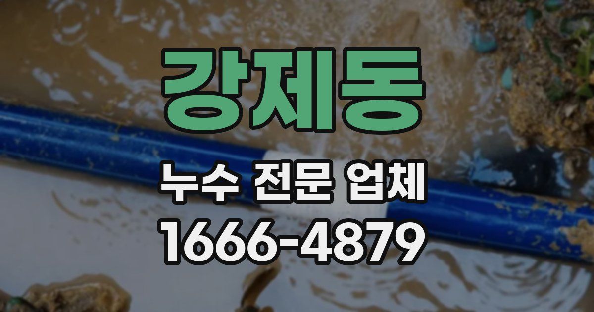 강제동 누수 전문 업체