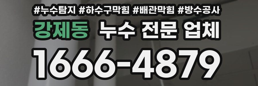 강제동 누수 전문 업체