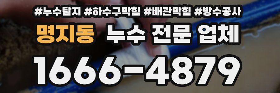 명지동 누수 전문 업체