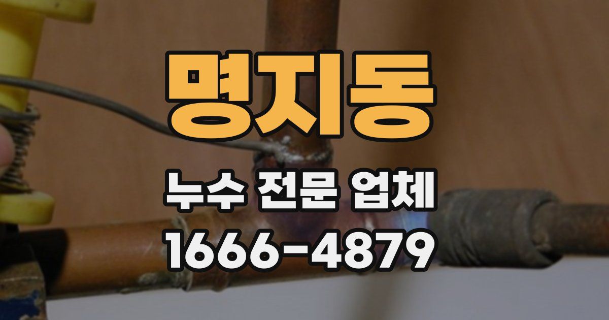 명지동 누수 전문 업체