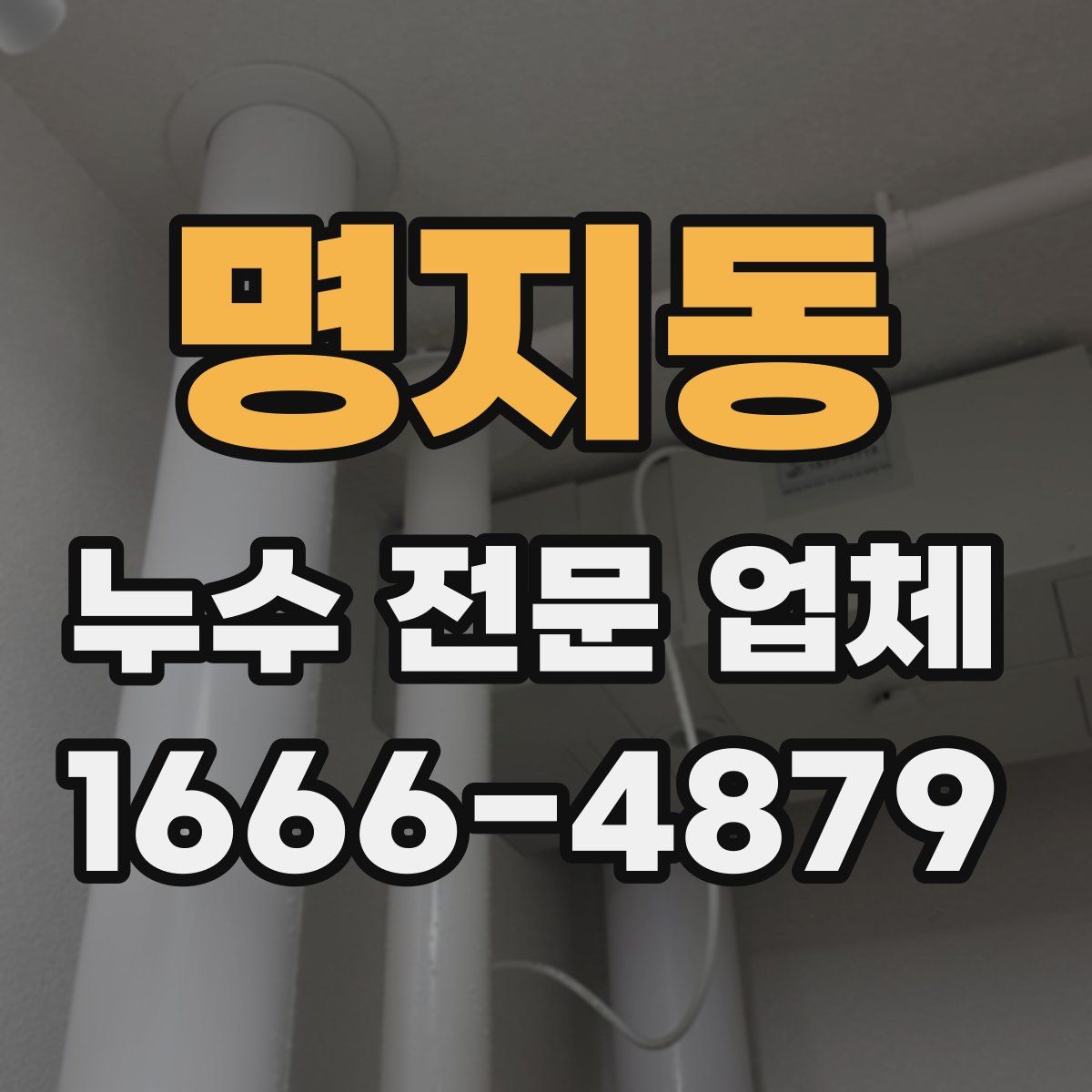 명지동 누수 전문 업체