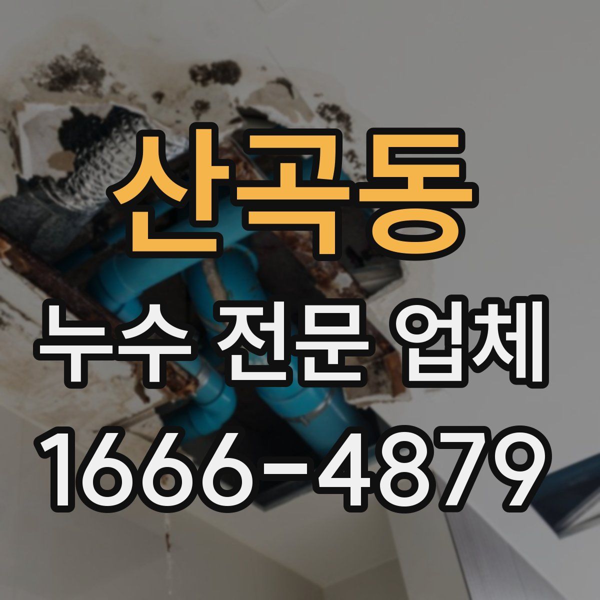 산곡동 누수 전문 업체