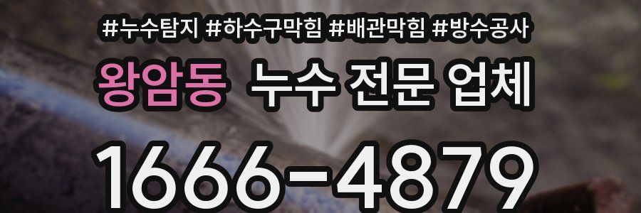 왕암동 누수 전문 업체