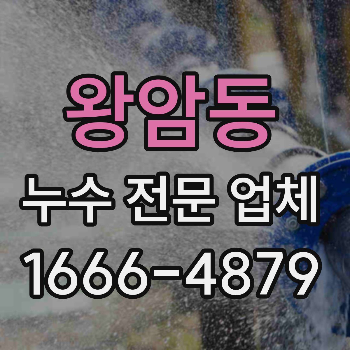 왕암동 누수 전문 업체