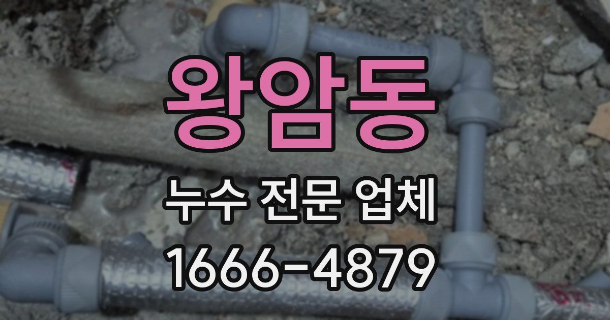 왕암동 누수 전문 업체