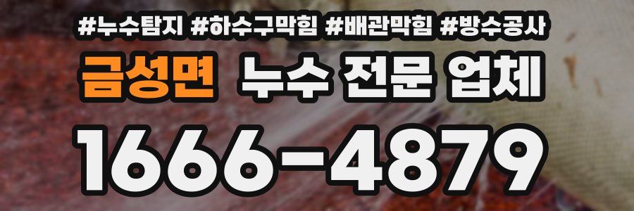 금성면 누수 전문 업체