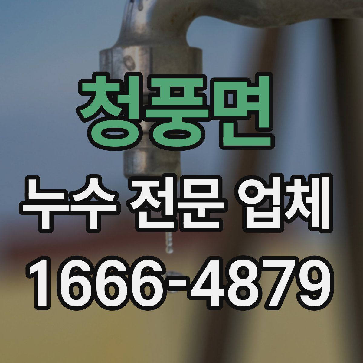 청풍면 누수 전문 업체