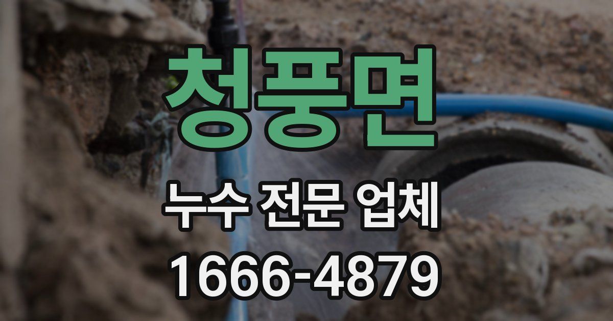 청풍면 누수 전문 업체