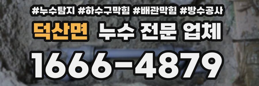 덕산면 누수 전문 업체