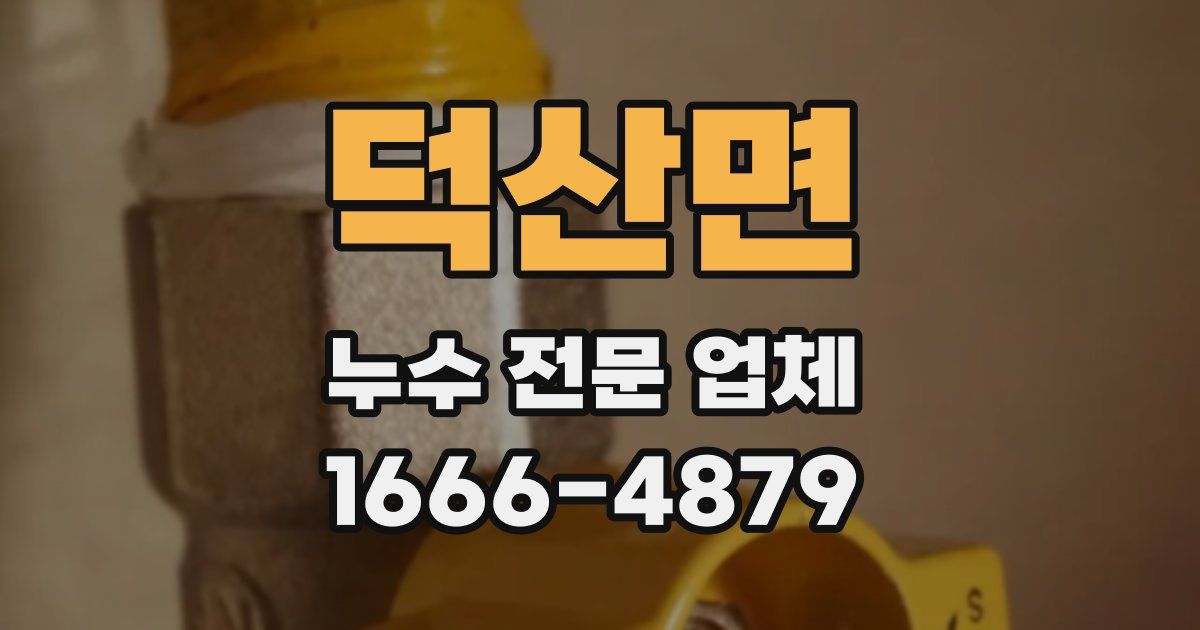 덕산면 누수 전문 업체