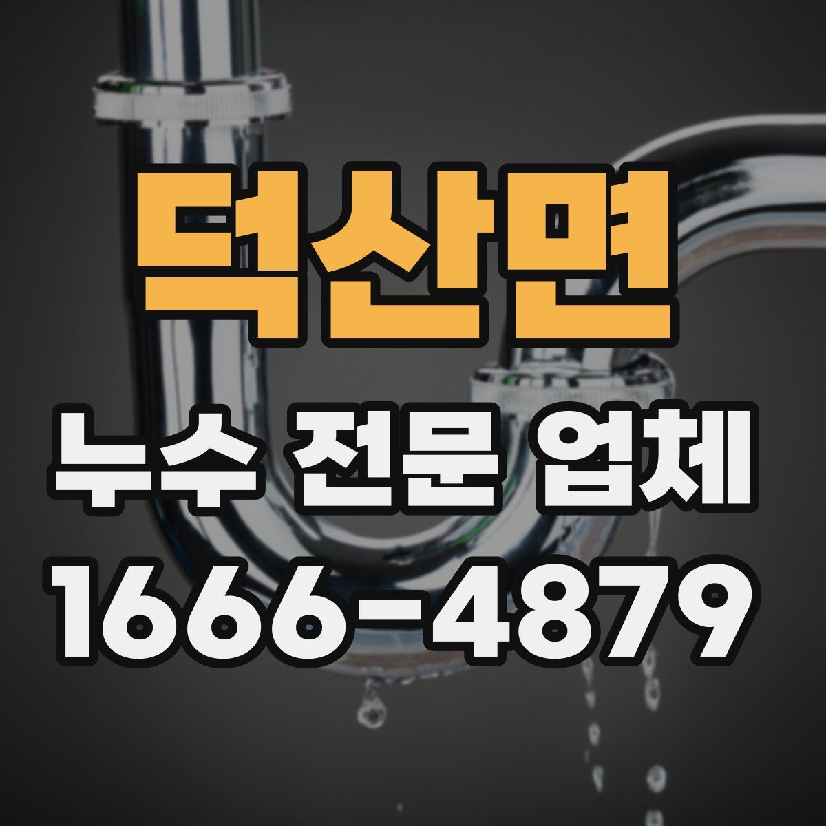 덕산면 누수 전문 업체
