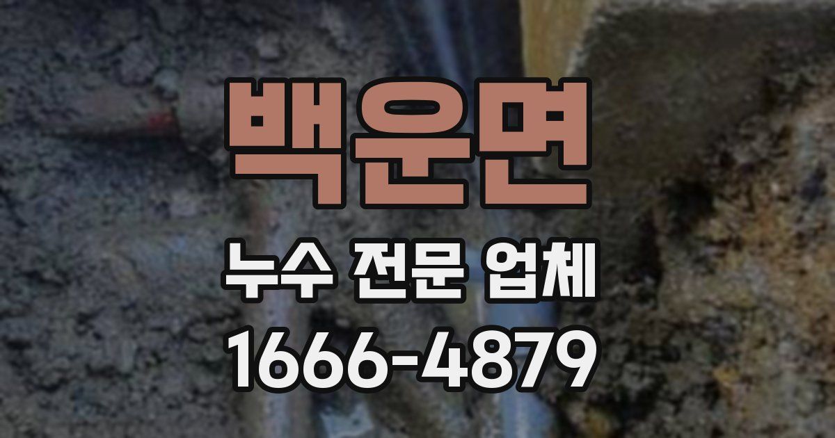 백운면 누수 전문 업체