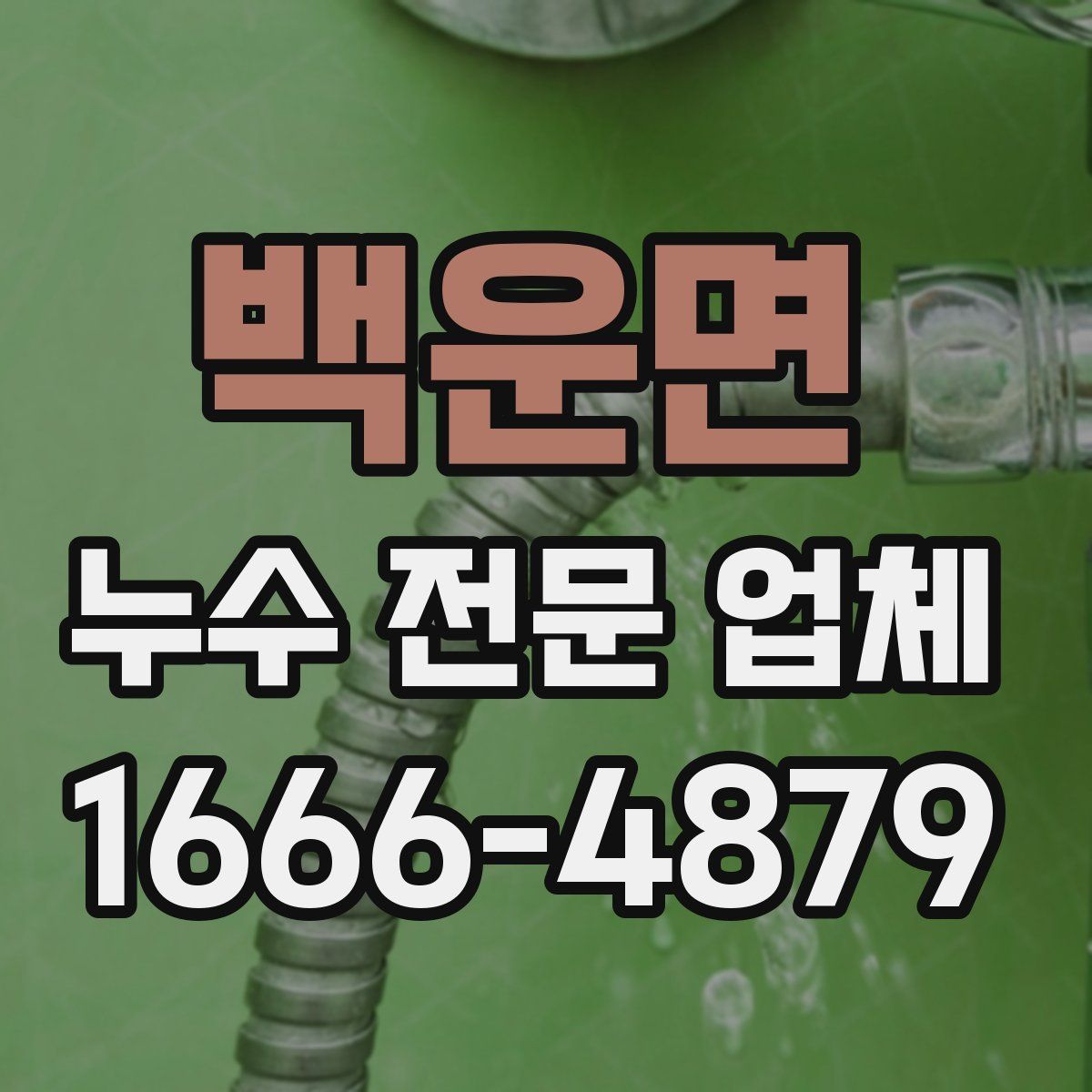 백운면 누수 전문 업체