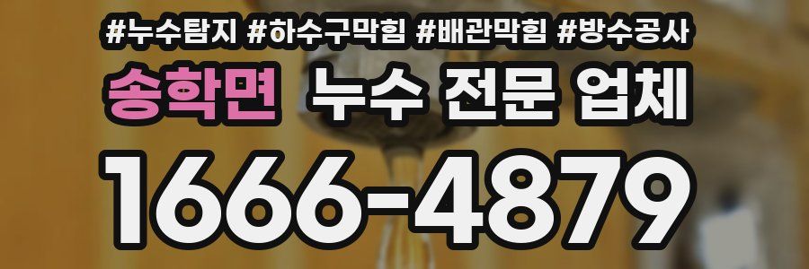 송학면 누수 전문 업체