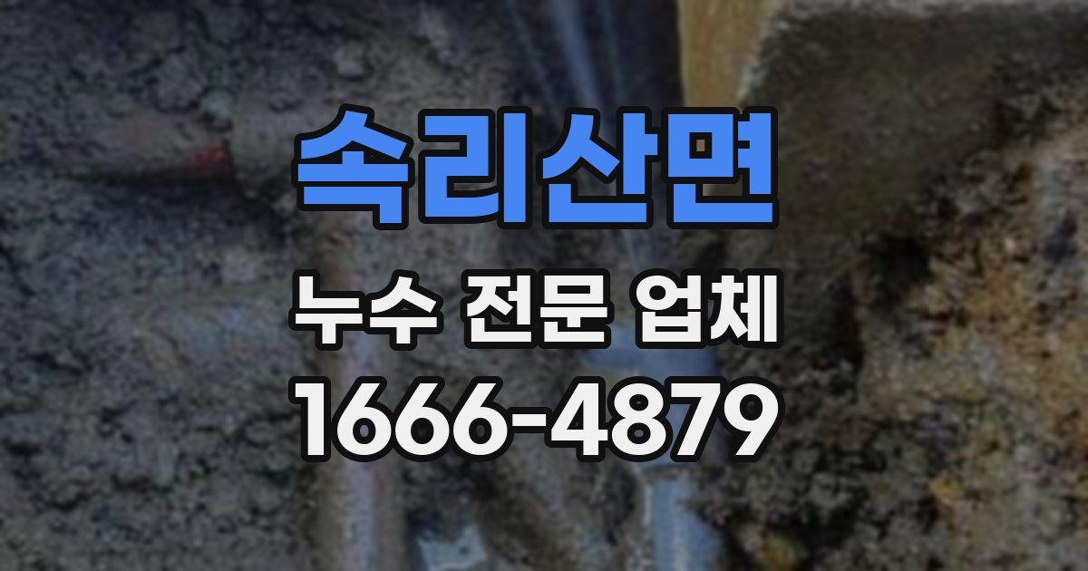 속리산면 누수 전문 업체