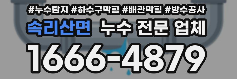 속리산면 누수 전문 업체