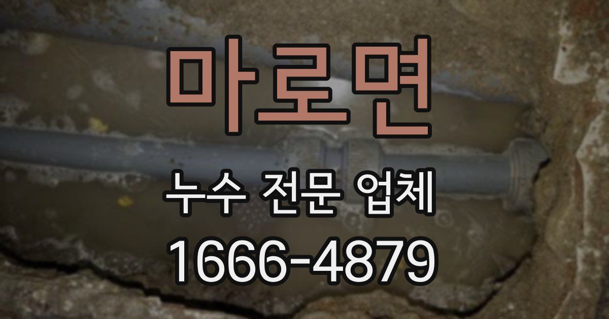 마로면 누수 전문 업체