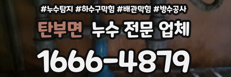 탄부면 누수 전문 업체