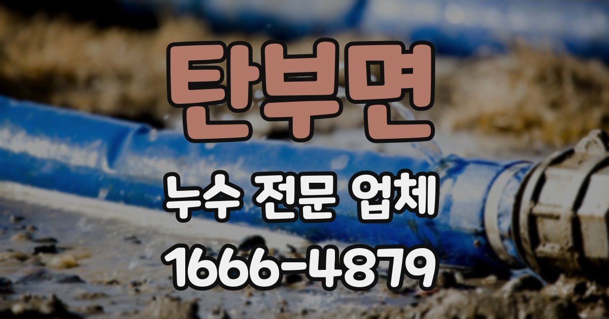 탄부면 누수 전문 업체