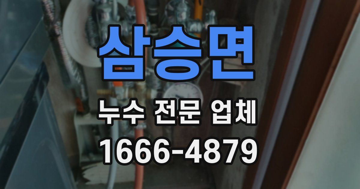 삼승면 누수 전문 업체