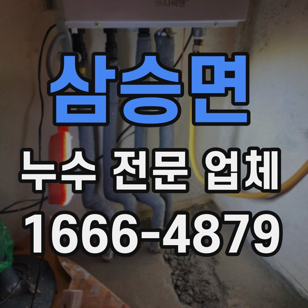 삼승면 누수 전문 업체