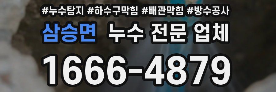 삼승면 누수 전문 업체