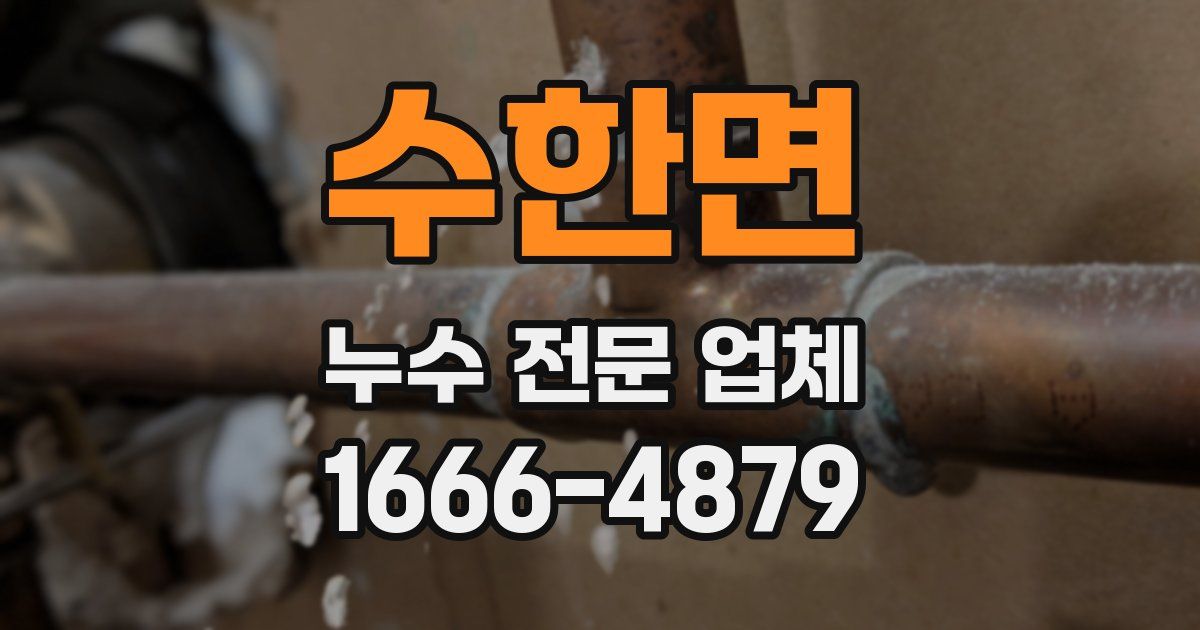 수한면 누수 전문 업체
