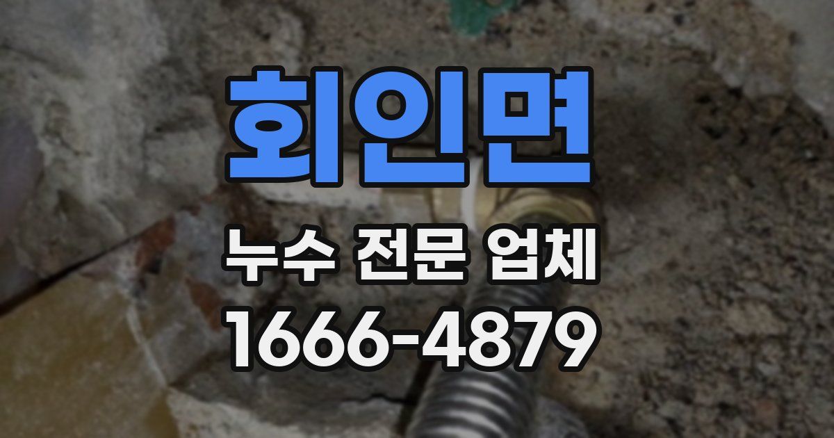 회인면 누수 전문 업체