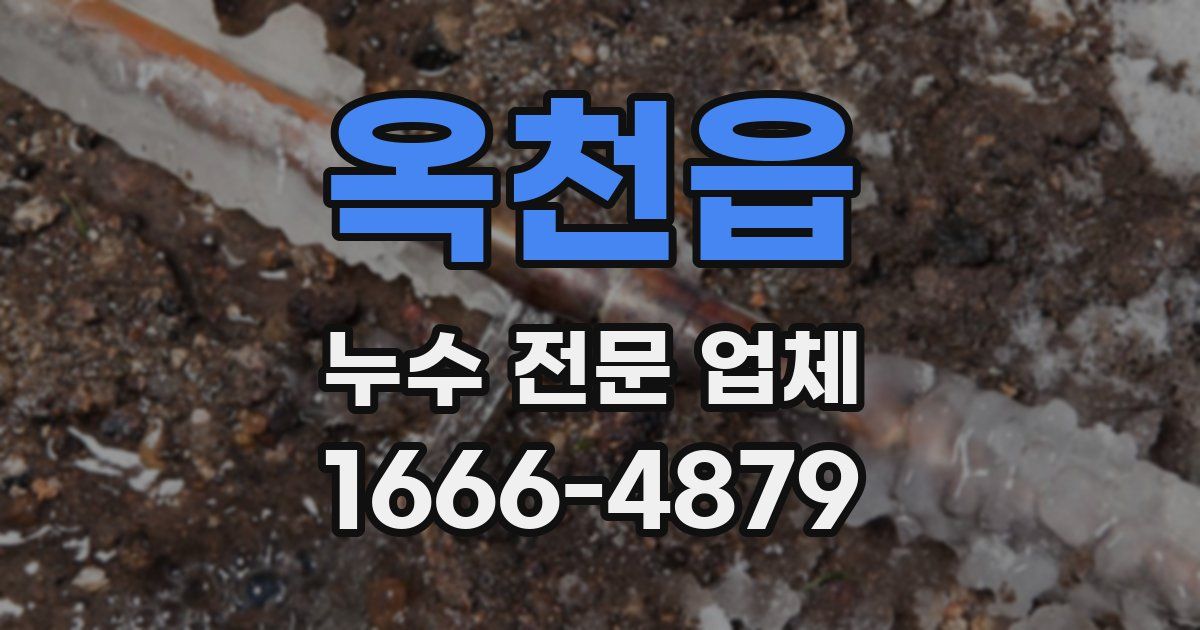 옥천읍 누수 전문 업체