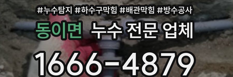 동이면 누수 전문 업체