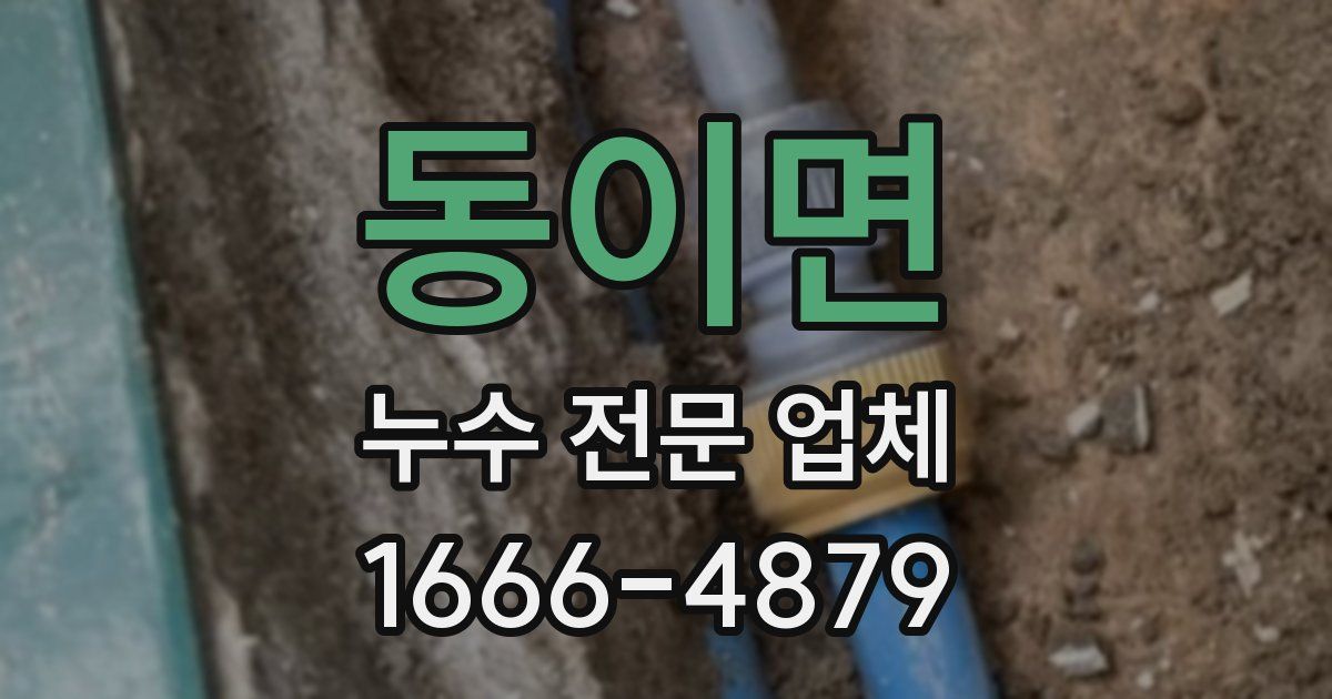 동이면 누수 전문 업체