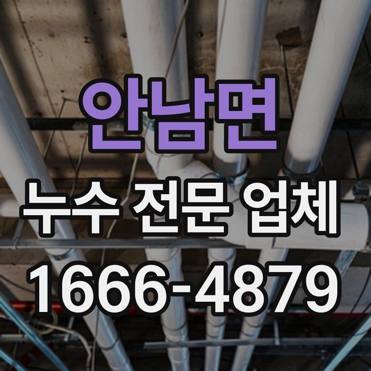 안남면 누수 전문 업체
