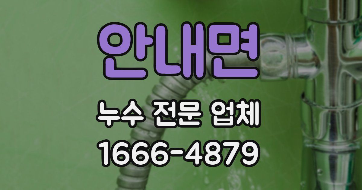 안내면 누수 전문 업체