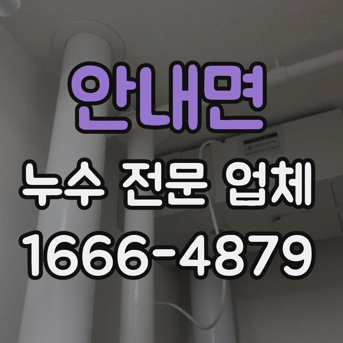 안내면 누수 전문 업체