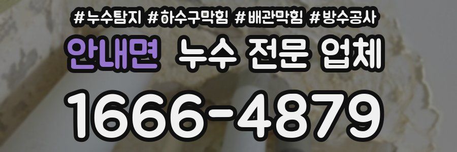 안내면 누수 전문 업체