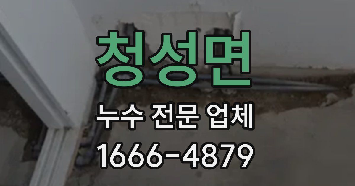 청성면 누수 전문 업체