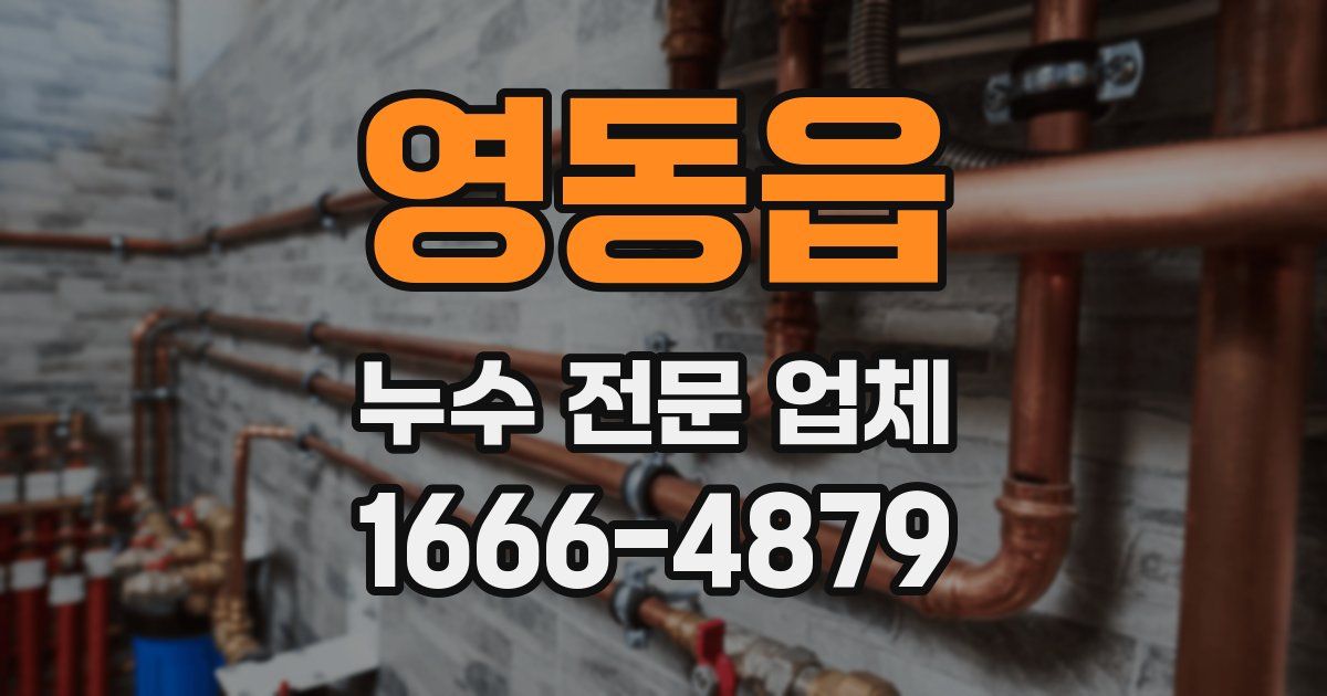 영동읍 누수 전문 업체
