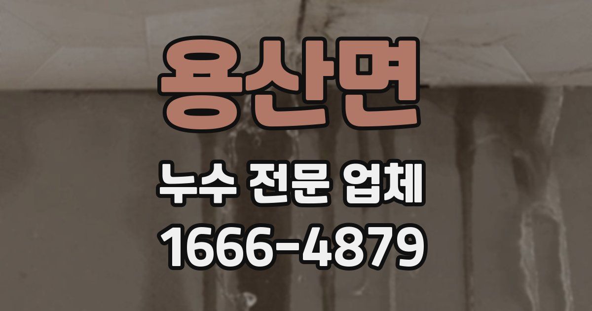 용산면 누수 전문 업체