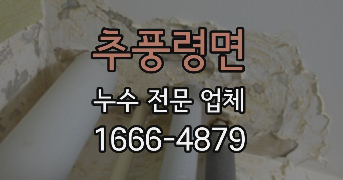 추풍령면 누수 전문 업체