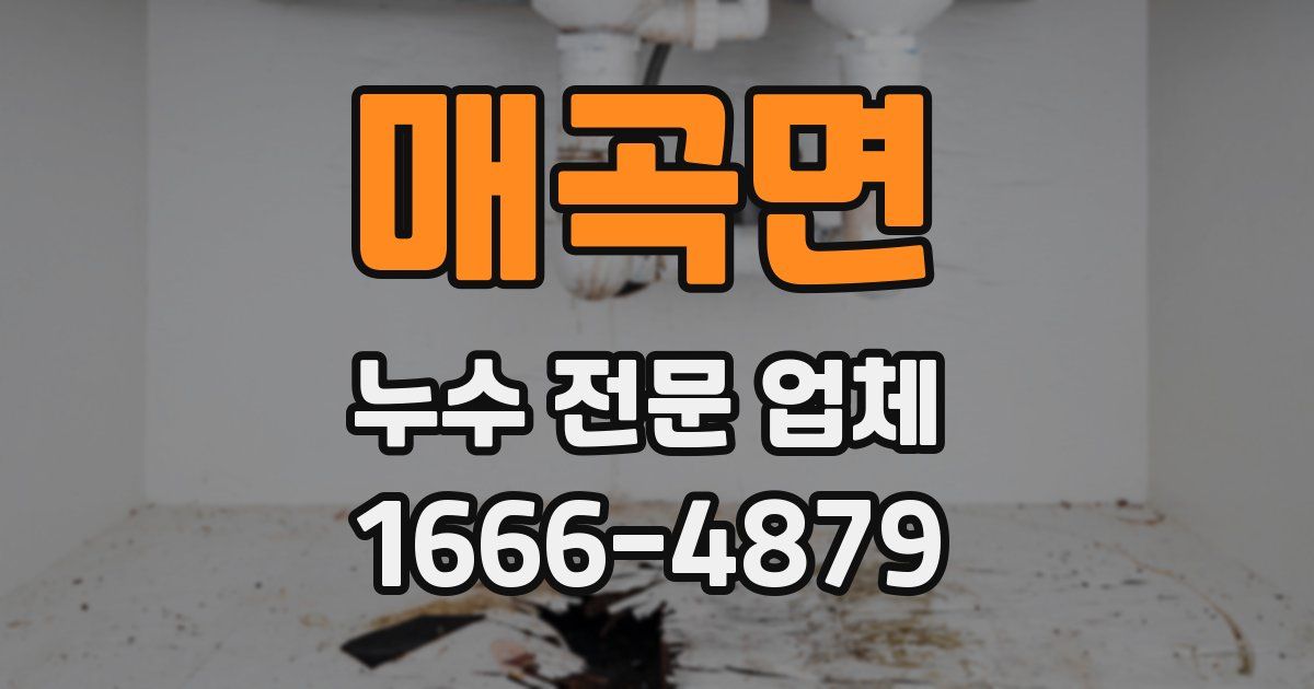 매곡면 누수 전문 업체